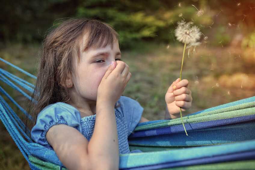 Diez medidas para combatir la alergia al polen