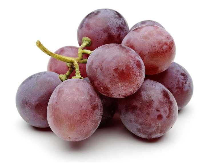 Почему виноград не бывает червивым? | Публикации | Вокруг Света