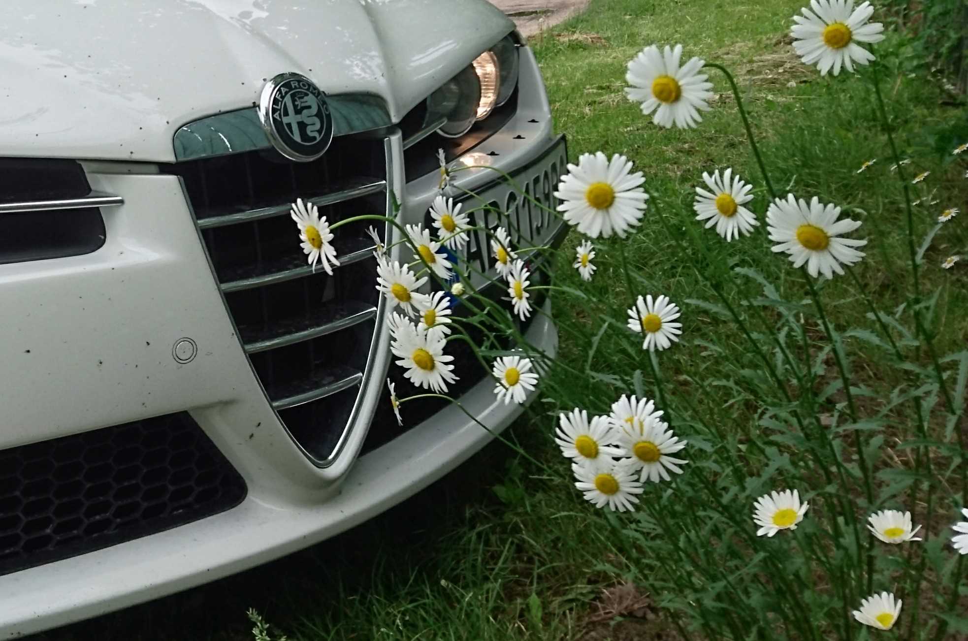 Alfa Romeo 159