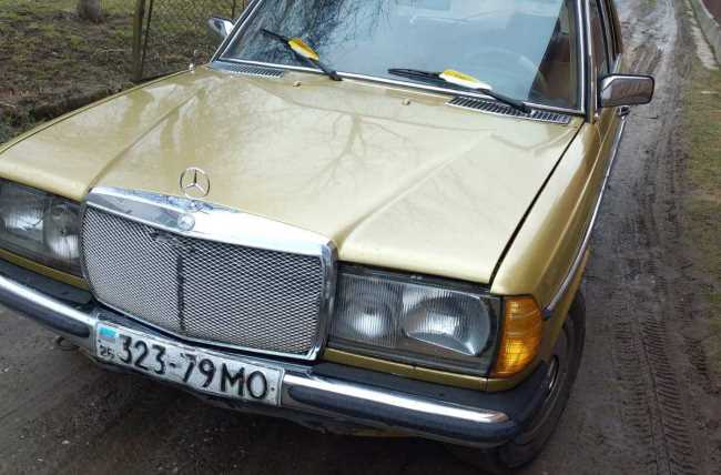 Mercedes-Benz W123